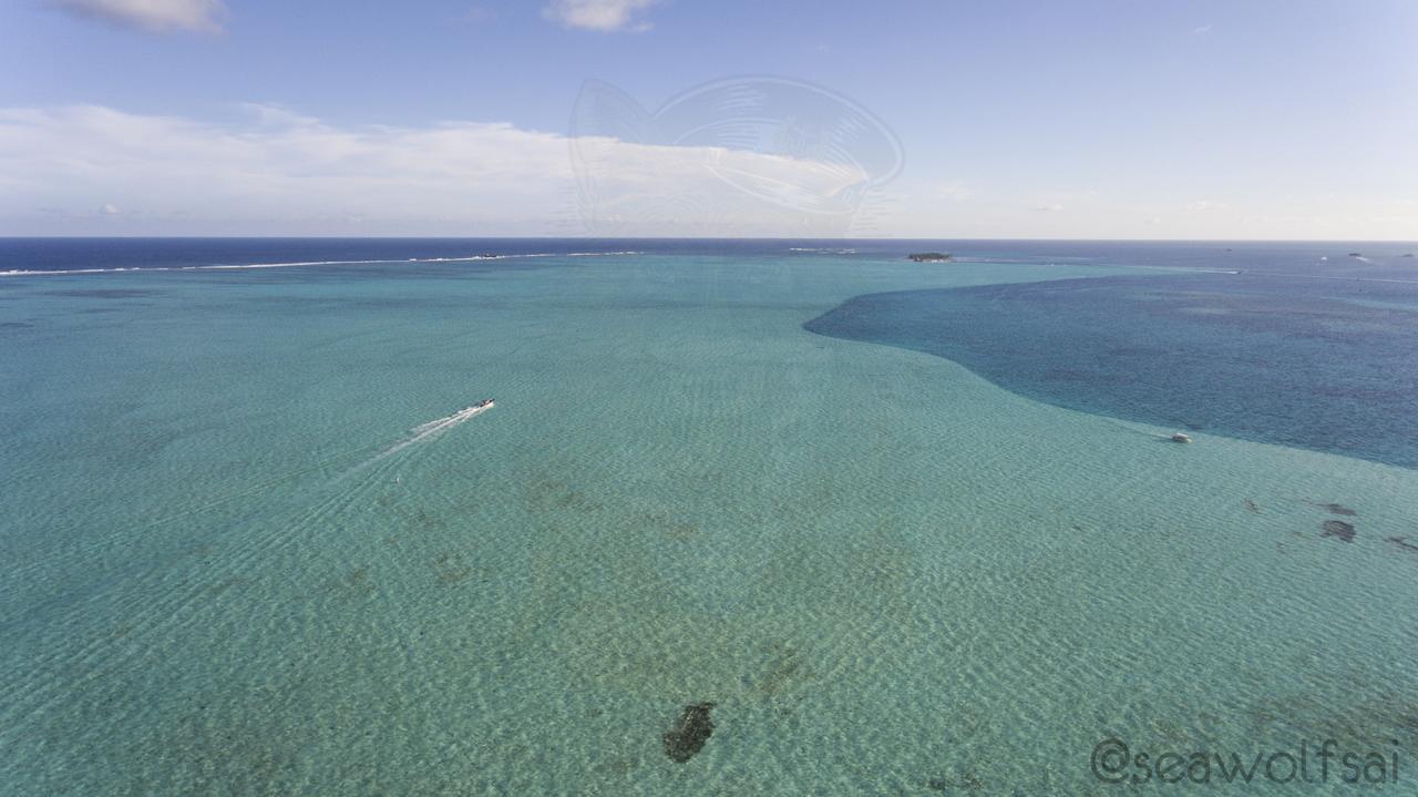 Sea Wolf Apartments San Andrés Kültér fotó